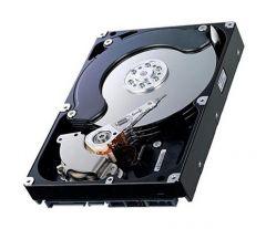 Seagate - 9BJ13E-305 - BarraCuda 7200.10 Series 250GB 7200RPM SATA 3Gb/s 8MB Cache 512 3.5-Inch Hard Drive - Orange Hardwares