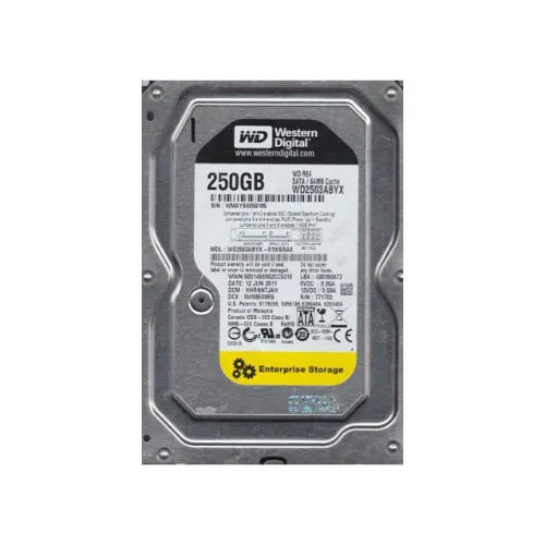 RE4 250GB 7200RPM SATA 3Gb/s 64MB Cache 3.5-inch Hard Drive