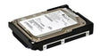 Dell - 0G6496 - 300GB 10000RPM Ultra 320 SCSI 3.5 8MB Cache Hard Drive"