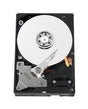 HP - 171457-001 - 40GB 5400RPM ATA 100 3.5 2MB Cache Hard Drive"