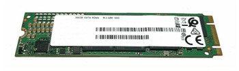 HP - 1NC52AV - 256GB TLC SATA 6Gbps (SED Opal2) M.2 2280 Internal Solid State Drive (SSD)