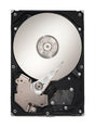 IBM - 2072-ACKC - 4TB 7200RPM SAS 6.0 Gbps 3.5 128MB Cache Hard Drive"