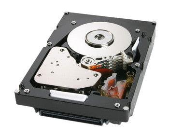 IBM - 81Y8815 - 900GB 10000RPM SAS 6.0 Gbps 2.5 64MB Cache Hard Drive"