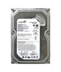 Seagate - 9BJ14W-022 - 250GB 7200RPM SATA 3.0 Gbps 3.5 16MB Cache Hard Drive"