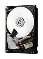 Hitachi - H3U20006454S - 2TB 7200RPM SATA 6.0 Gbps 3.5 64MB Cache Ultrastar Hard Drive"