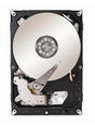 Dell - HDD3A02GZK51-EQL - 1TB 7200RPM SAS 6.0 Gbps 3.5 16MB Cache Enterprise Hard Drive"