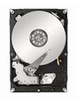 EMC - NA-SS10-146HS - 146GB 10000RPM SAS 3.0 Gbps 3.5 16MB Cache Hard Drive"