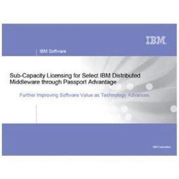 IBM - 25R0165 - TotalStorage Enhanced Remote Mirror License 1 Server - Orange Hardwares